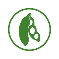 Kynetec lança estudo ‘Andamento do Mercado de Soja’