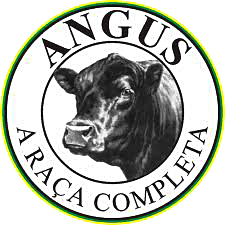 Sebrae/PR e criadores da raça Angus firmam parceria para inovação na pecuária